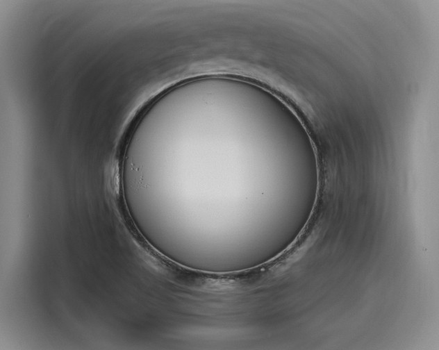 X0000116151509200911301530