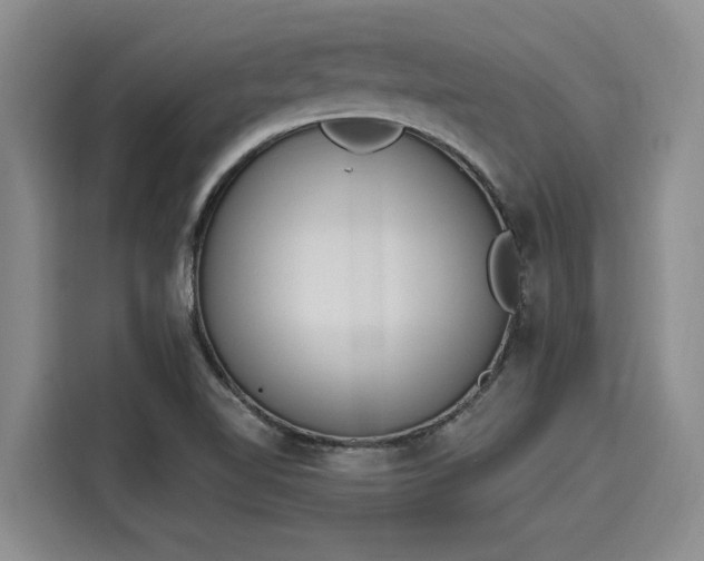 X0000116151510200911301530