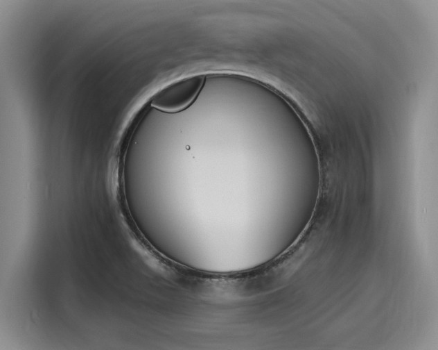 X0000116151511200911301530