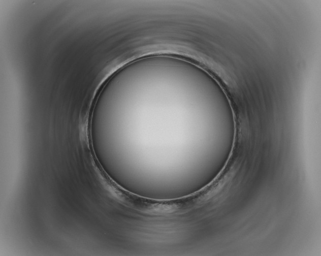 X0000116151513200911301530