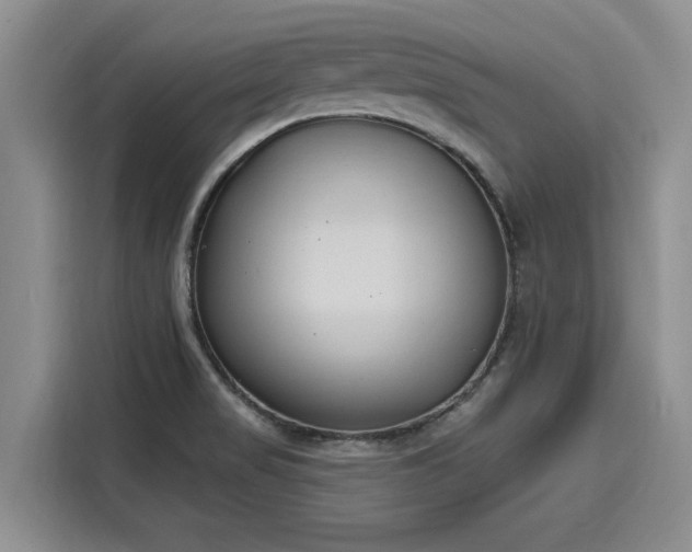 X0000116151517200911301530