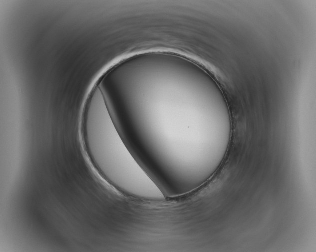 X0000116151518200911301530