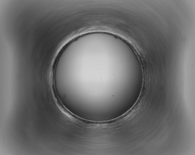 X0000116151519200911301530