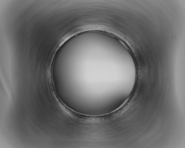 X0000116151521200911301530