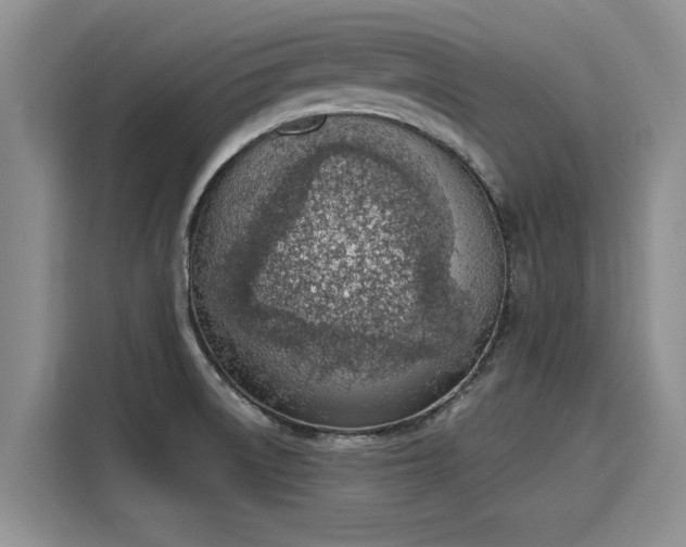 X0000116151522200911301530