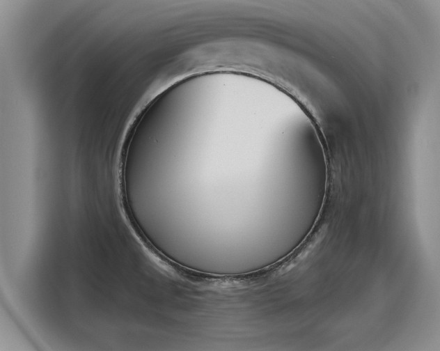 X0000116151525200911301530