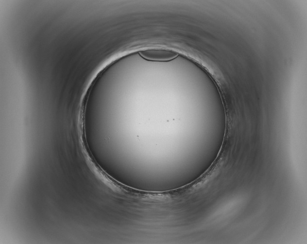 X0000116151526200911301530