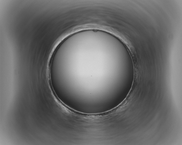 X0000116151527200911301530