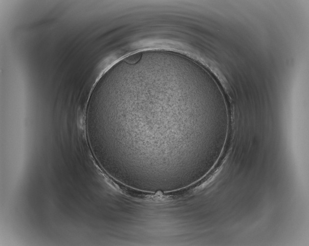 X0000116151529200911301530