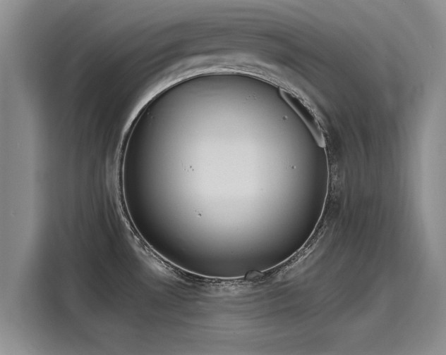 X0000116151530200911301530