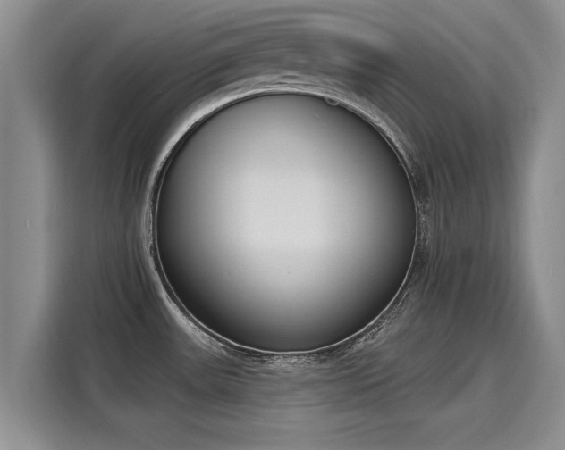 X0000116151531200911301530