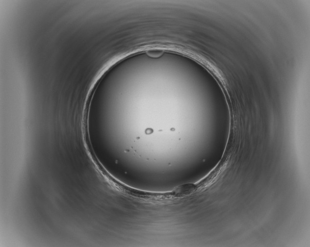 X0000116151533200911301530