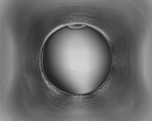 X0000116151534200911301530