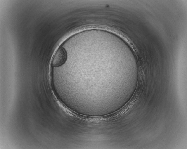 X0000116151535200911301530