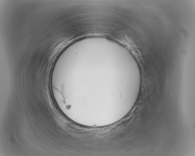 X0000116150001200912071313