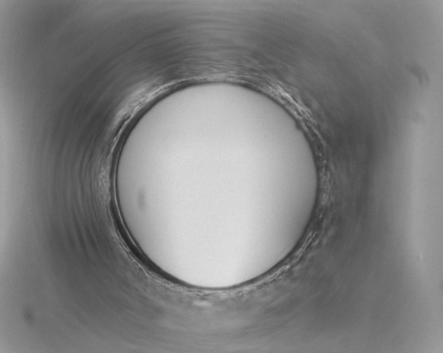 X0000116150002200912071313