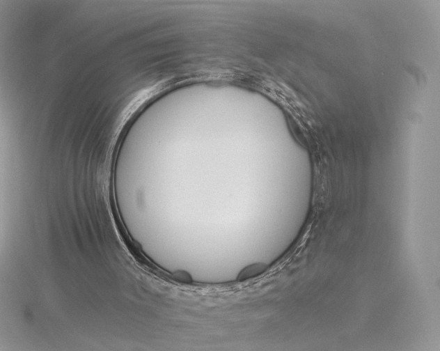 X0000116150003200912071313