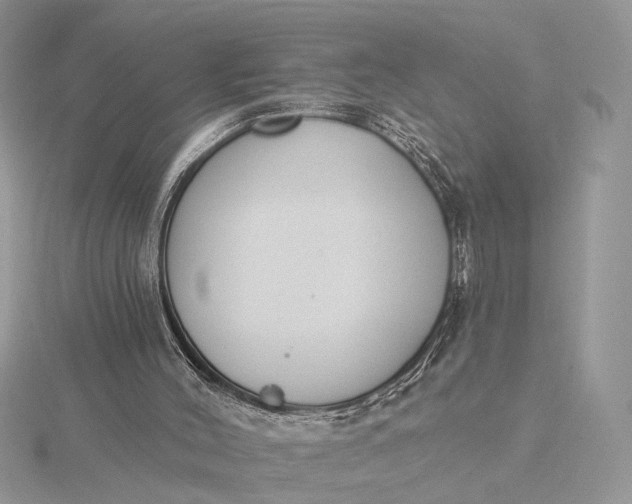 X0000116150004200912071313