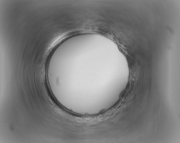 X0000116150005200912071313