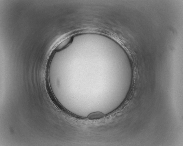 X0000116150007200912071313