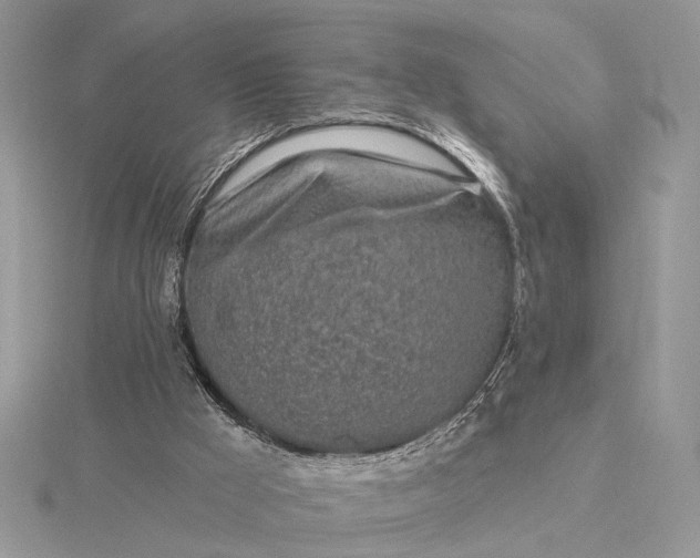 X0000116150009200912071313