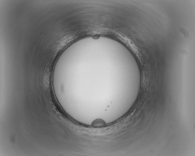 X0000116150010200912071313