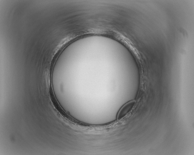 X0000116150011200912071313