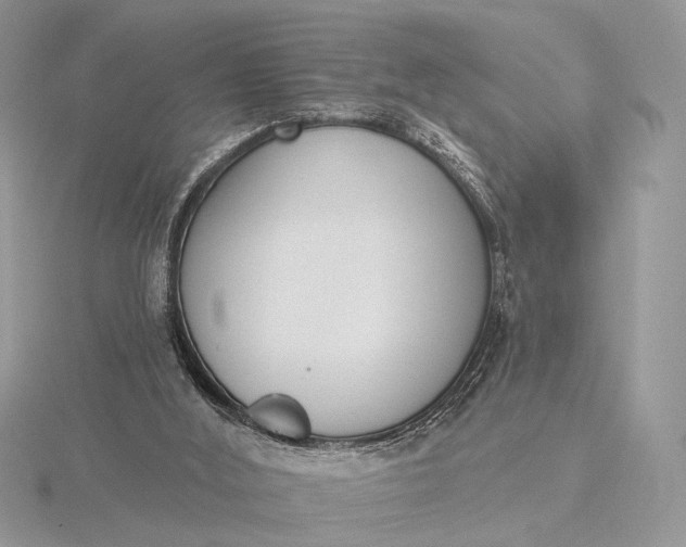 X0000116150012200912071313