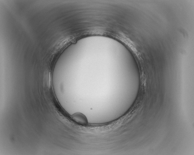 X0000116150013200912071313