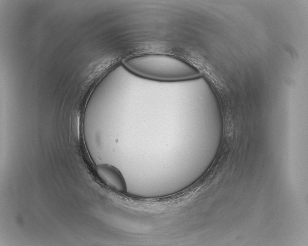 X0000116150014200912071313