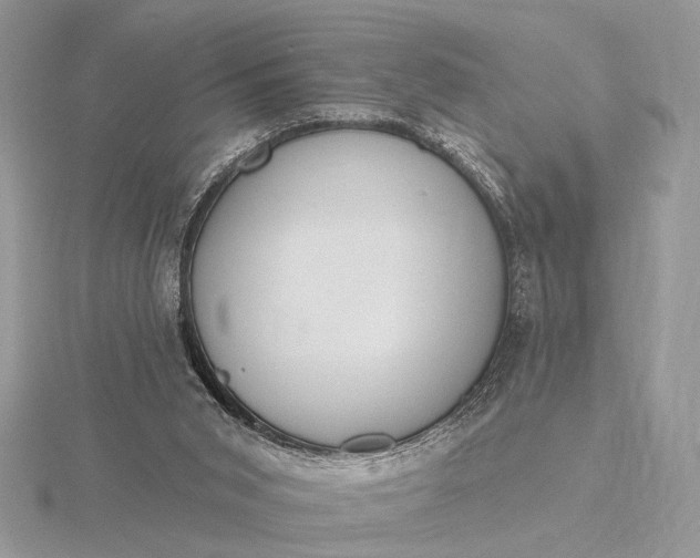 X0000116150015200912071313