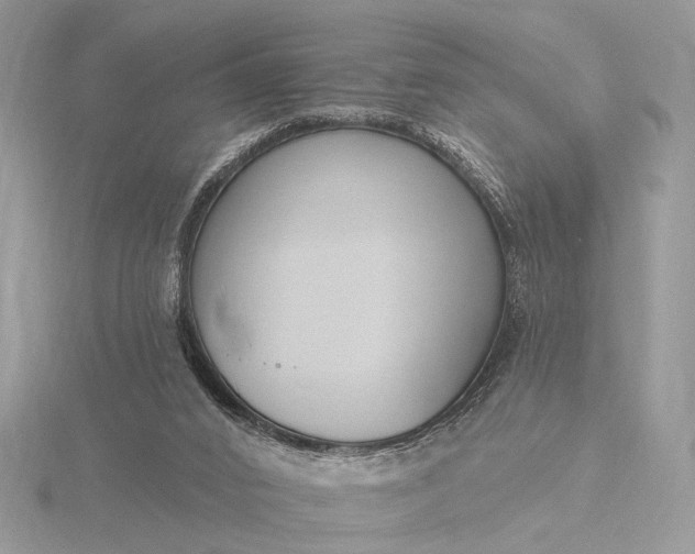 X0000116150016200912071313