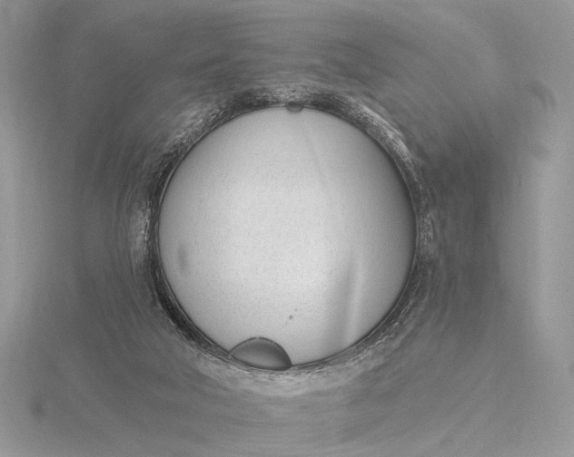 X0000116150018200912071313