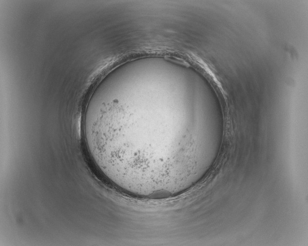 X0000116150019200912071313