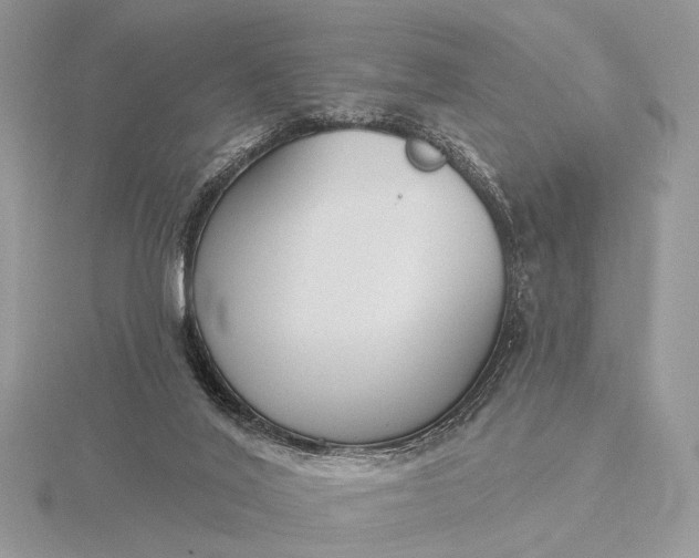 X0000116150020200912071313