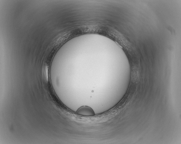 X0000116150022200912071313