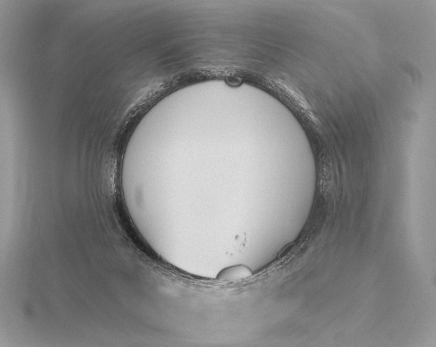 X0000116150023200912071313