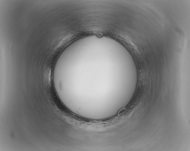 X0000116150024200912071313