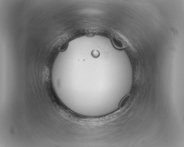 X0000116150025200912071313