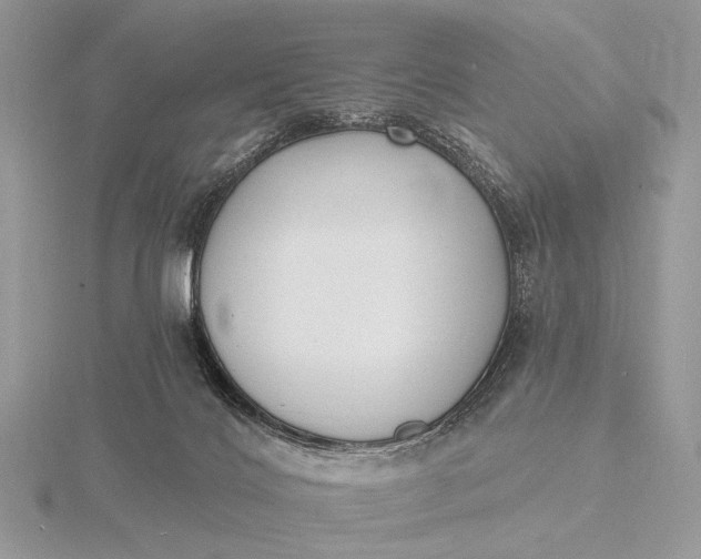 X0000116150028200912071313