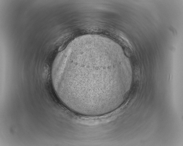 X0000116150029200912071313