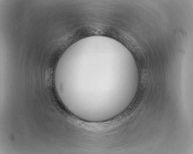 X0000116150030200912071313