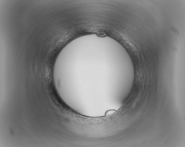 X0000116150031200912071313