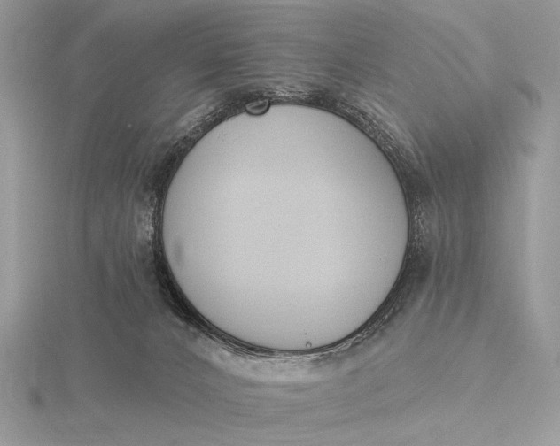 X0000116150032200912071313