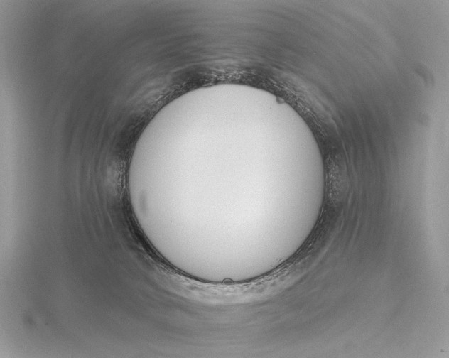 X0000116150034200912071313