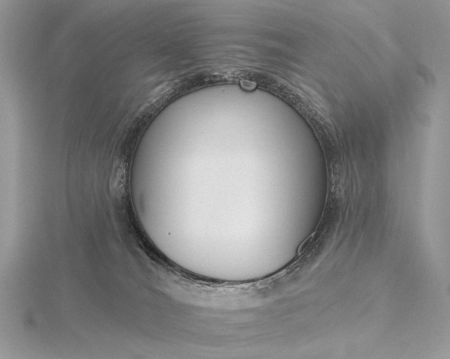 X0000116150036200912071313