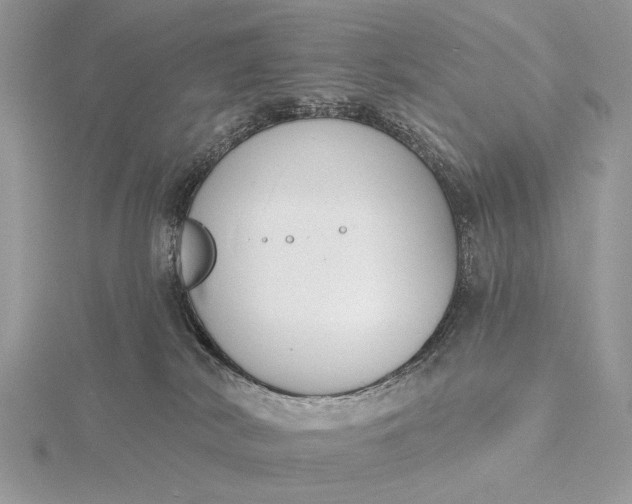 X0000116150038200912071313