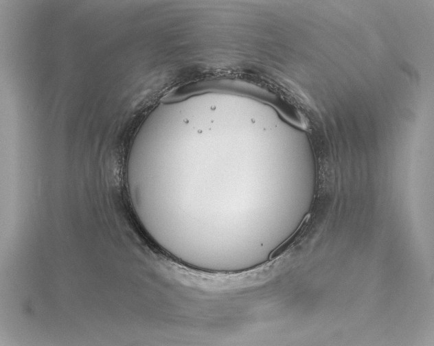 X0000116150039200912071313