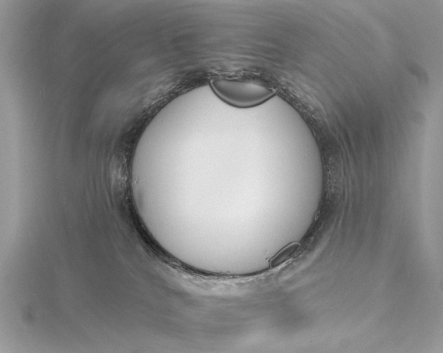 X0000116150040200912071313