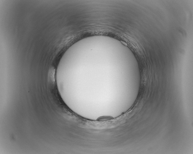 X0000116150041200912071313